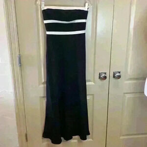 Ann Taylor Petite Strapless Dress 0P